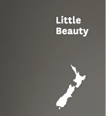 Little Beauty